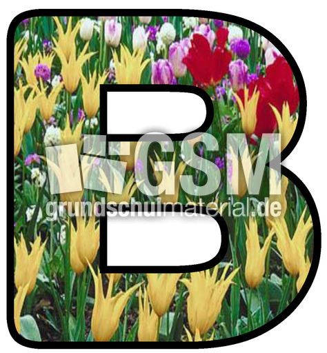Dekobuchstaben-Tulpe_B.jpg